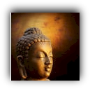 learn to meditate
